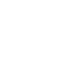 icono flores de alta calidad