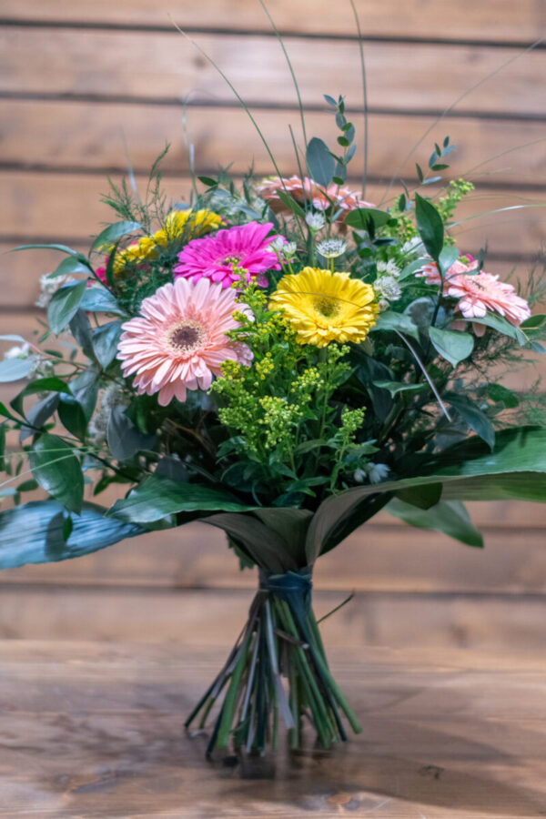 gerberas